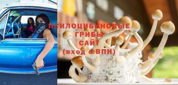 дживик Новосибирск