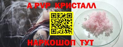 стафф Гагарин