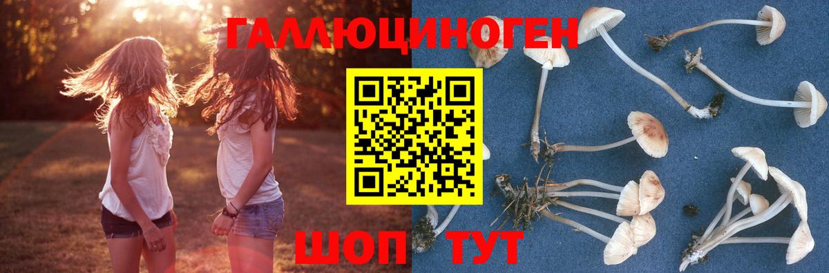 Галлюциногенные грибы GOLDEN TEACHER Россия