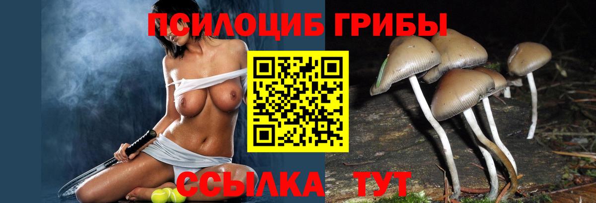 Россия  как найти закладки  Псилоцибиновые грибы MAGIC MUSHROOMS  Вход с VPN  Галлюциногенные грибы Psilocybe 
